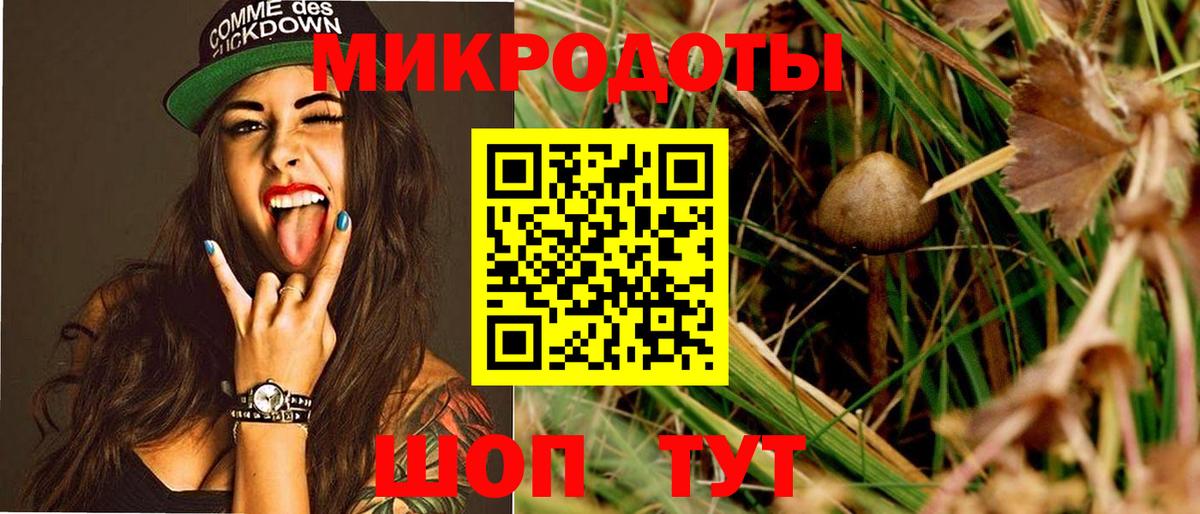 Галлюциногенные грибы Psilocybine cubensis Среднеуральск